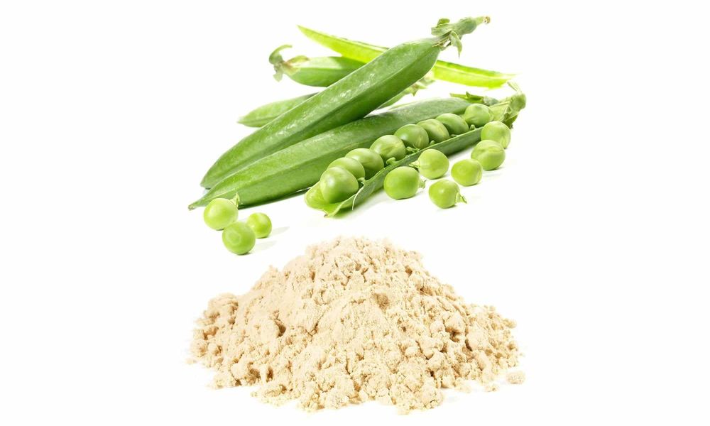 Erbsenprotein Pulver