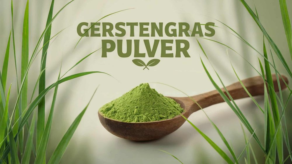 Gerstengras Pulver